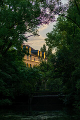 old house in the woods