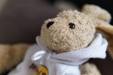 teddy bear on the couch