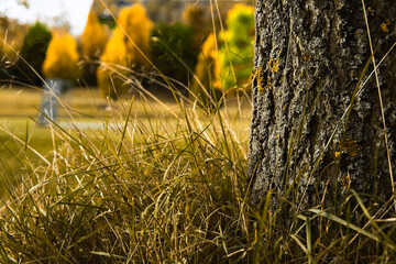 Hofaupark im Vogtland