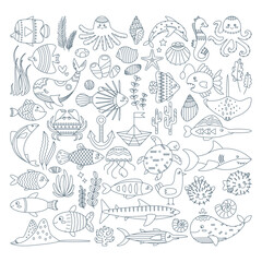 Set of algae, shells, octopus, stingray, dolphin, seahorse, swordfish, turtle, whale, crab. © Inna