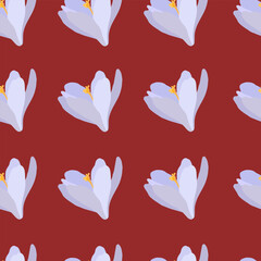 Collection of crocuses and saffrons. A set of spring purple, yellow and white crocuses. Vector illustration of beautiful multicolored flowers