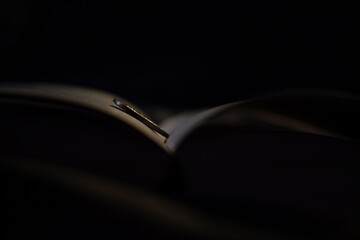 A coin on the book in the darkness.