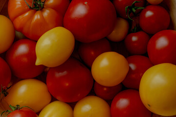 read and yellow tomatoes 