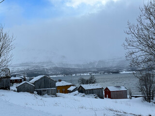 snowy nature and northern sea in tromso, norway