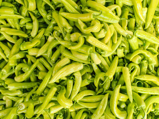 Chili pepper plantation with plastic film placed over the ground, yellow chilli pepper plant in a farmer's field, paprika, chili pepper in greenhouse or glasshouse, in Jijel Algeria, North Africa.