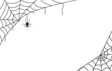 Spider web black with transparent background - obrazy, fototapety, plakaty