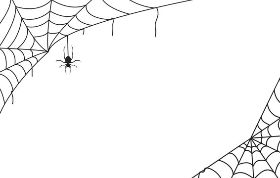 Spider web black with transparent background