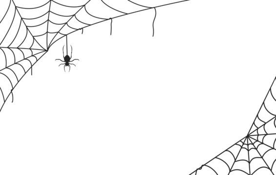 Spider web black with transparent background