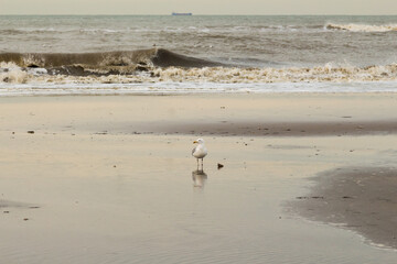 footprints in the sand
