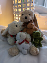 teddy bear with heart