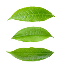 tea leaf isolated on transparent png