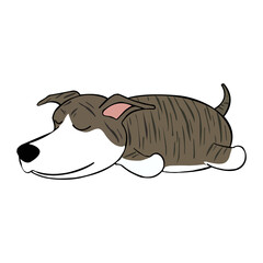 Sleeping Lazy Dog Cliaprt PNG