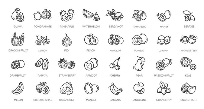 Fruit Healthy eating Thin Line Pack. Vector icons