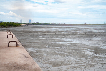 Receding Waters During Low Tide