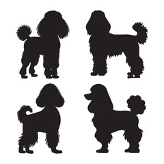Set of Poodle silhouette characters with vector illustration
