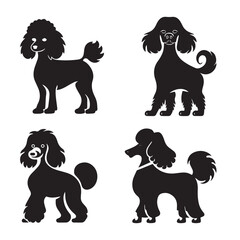 Set of Poodle silhouette characters with vector illustration