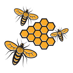 Naklejka premium Honey bee and honeycomb on white background. Vector illustration.