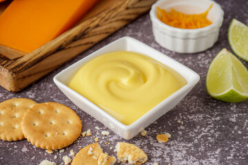 Bowl of tasty cheddar cheese sauce with crackers on black grunge background