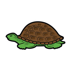 Turtle animal icon over white background colorful design vector illustration.
