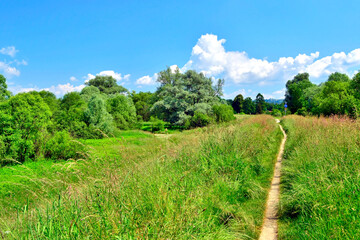 Fototapeta na wymiar Single track trail running along a flood embankment among tall green grass