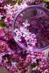 Obraz na płótnie Canvas Glass of cocktail and beautiful lilac flowers, closeup