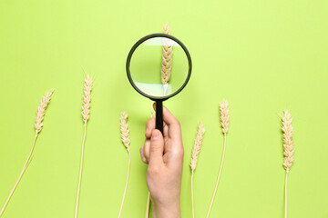 Female hand with ear wheat on green background