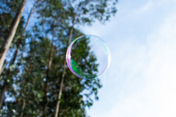 Bubble against trees