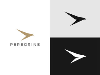 Peregrine bird logo design vector template