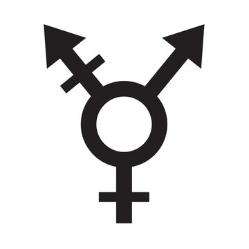 LGBT gender symbol icon vector image