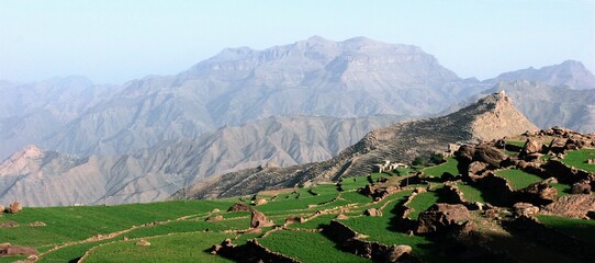 culture en terrasse au yemen