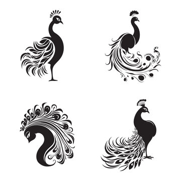 Set of peacock silhouette characters with vector illustration