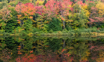 Beautiful fall leaves in autumn on a Maine scenic drive near Rangeley Lake