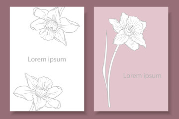 Two pastel-coloured floral backgrounds with an image of a daffodil. Delicate paternas with a floral theme. Design of invitations, labels, postcards.  