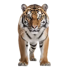 Tuinposter Tiger on Transparent Background © sixis