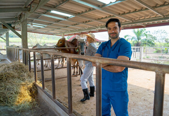 Portrait of veterinarian with blue gloves stand with arm-crossed stay in cow stable and the owner also check condition of her cows in the background.