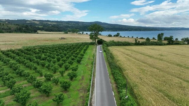 automobile d'epoca corre su una strada di campagna che costeggia il lago. Bolsena, Viterbo, Italia.
Vista aerea della campagna che circonda il viale panoramico.
