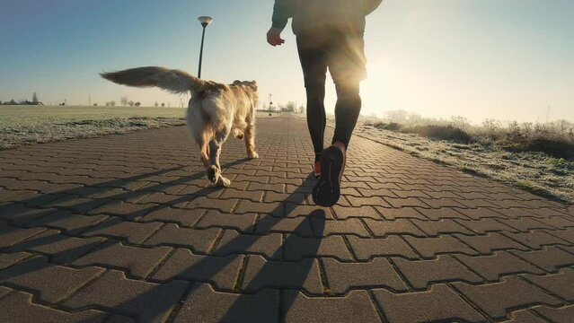 Man running with golden retriever dog with sunset sunlight outdoors. Guy with pet doggy jogging together, view from back