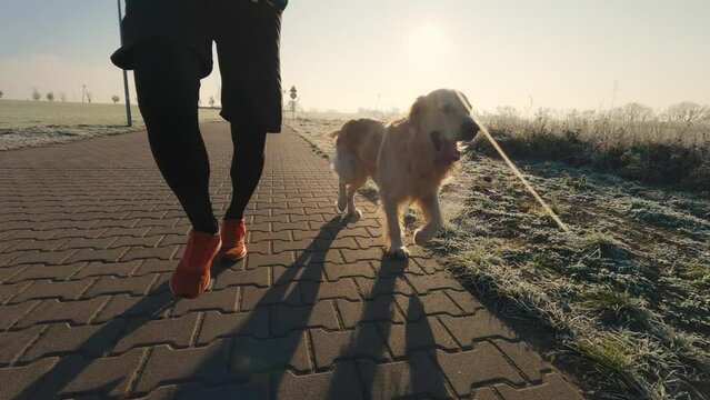 Man running with golden retriever dog with sunset sunlight outdoors. Guy with pet doggy jogging together, closeup leg view
