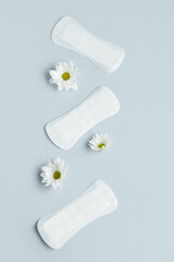 Composition with menstrual pads and chamomile flowers on grey background