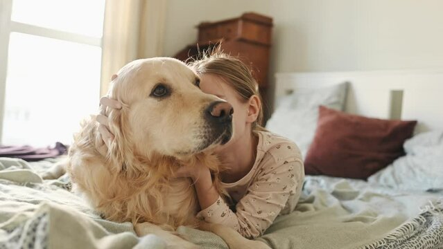 Cute child girl petting golden retriever dog lying in bed and smilling in morning. Beautiful preteen kid with purebred pet doggy labrador wake up at home