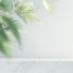 Minimalistic light background with blurred foliage shadow on a light wall. Beautiful background for presentation with with marble floor.