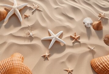 Fototapeta na wymiar Arial view of a sandy beach with shells at the bottom and the top