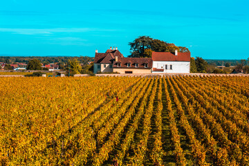 Chateau with vineyards in the autumn season, Burgundy, France.