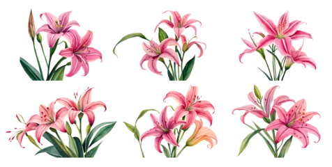 Foto op Plexiglas Watercolor lily flower set. Generative Ai © Vika art