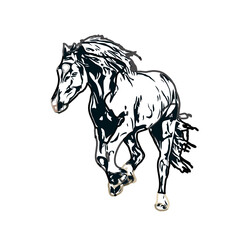 Color sketch of a horse with transparent background