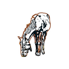 Color sketch of a horse with transparent background