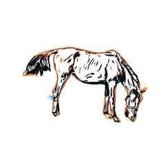 Color sketch of a horse with transparent background
