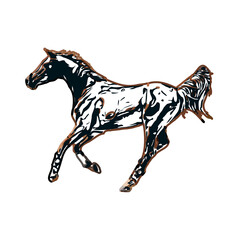 Color sketch of a horse with transparent background