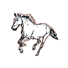 Color sketch of a horse with transparent background