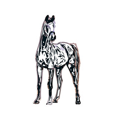 Color sketch of a horse with transparent background